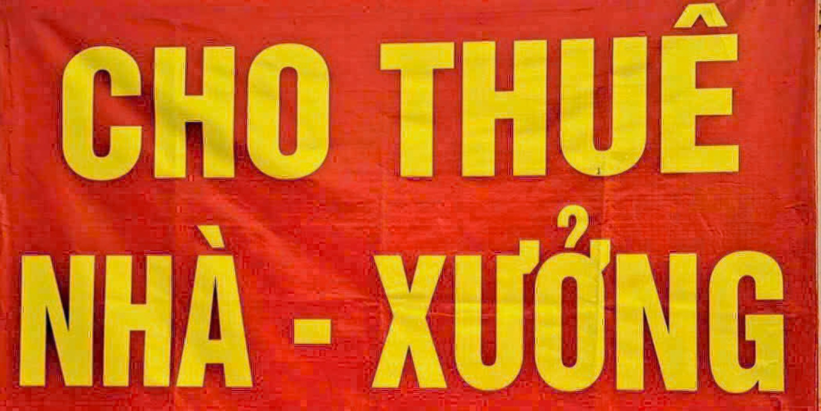 Ảnh 2